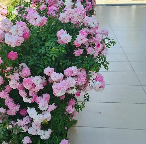 アパート Simurina Vlašići