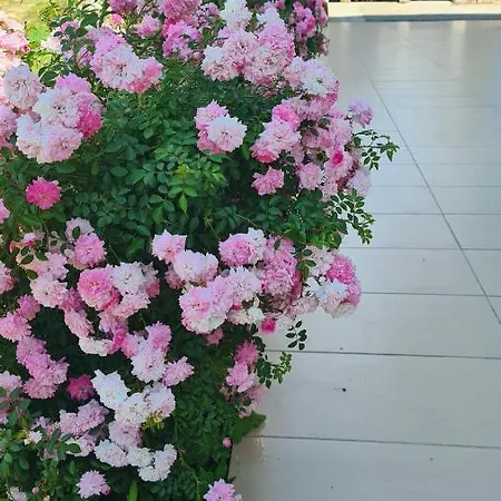 公寓 Simurina Vlašići