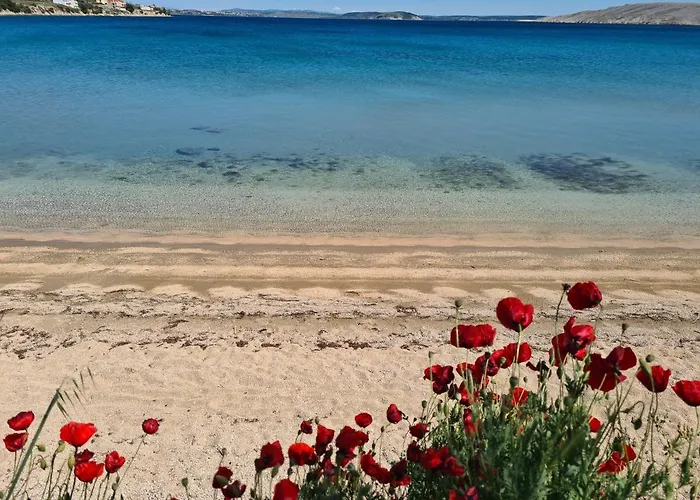 Διαμέρισμα Simurina *