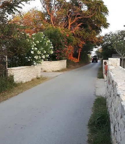Simurina * Vlašići